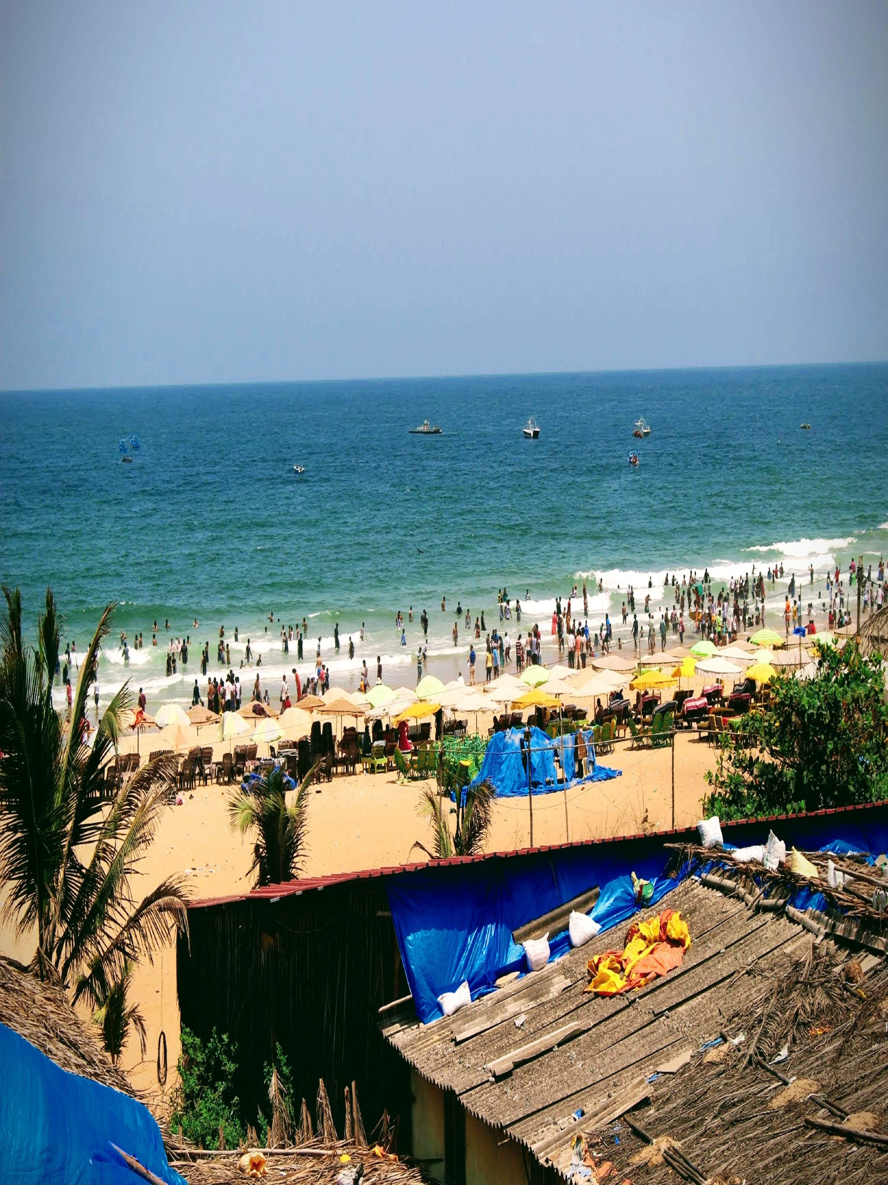 Beach shacks and palm trees along Calangute Beach