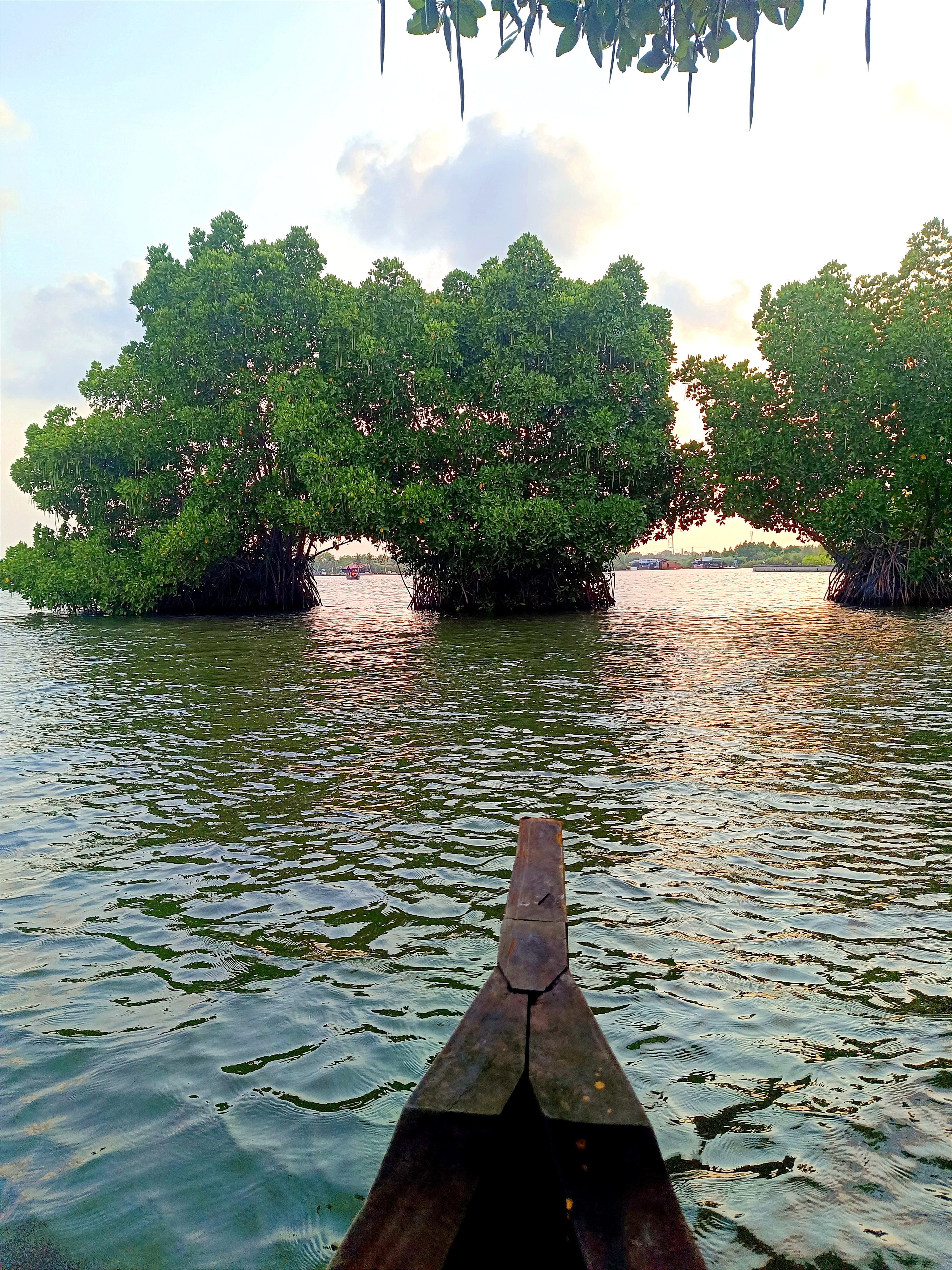Sunset at Munroe Island backwaters in Varkala