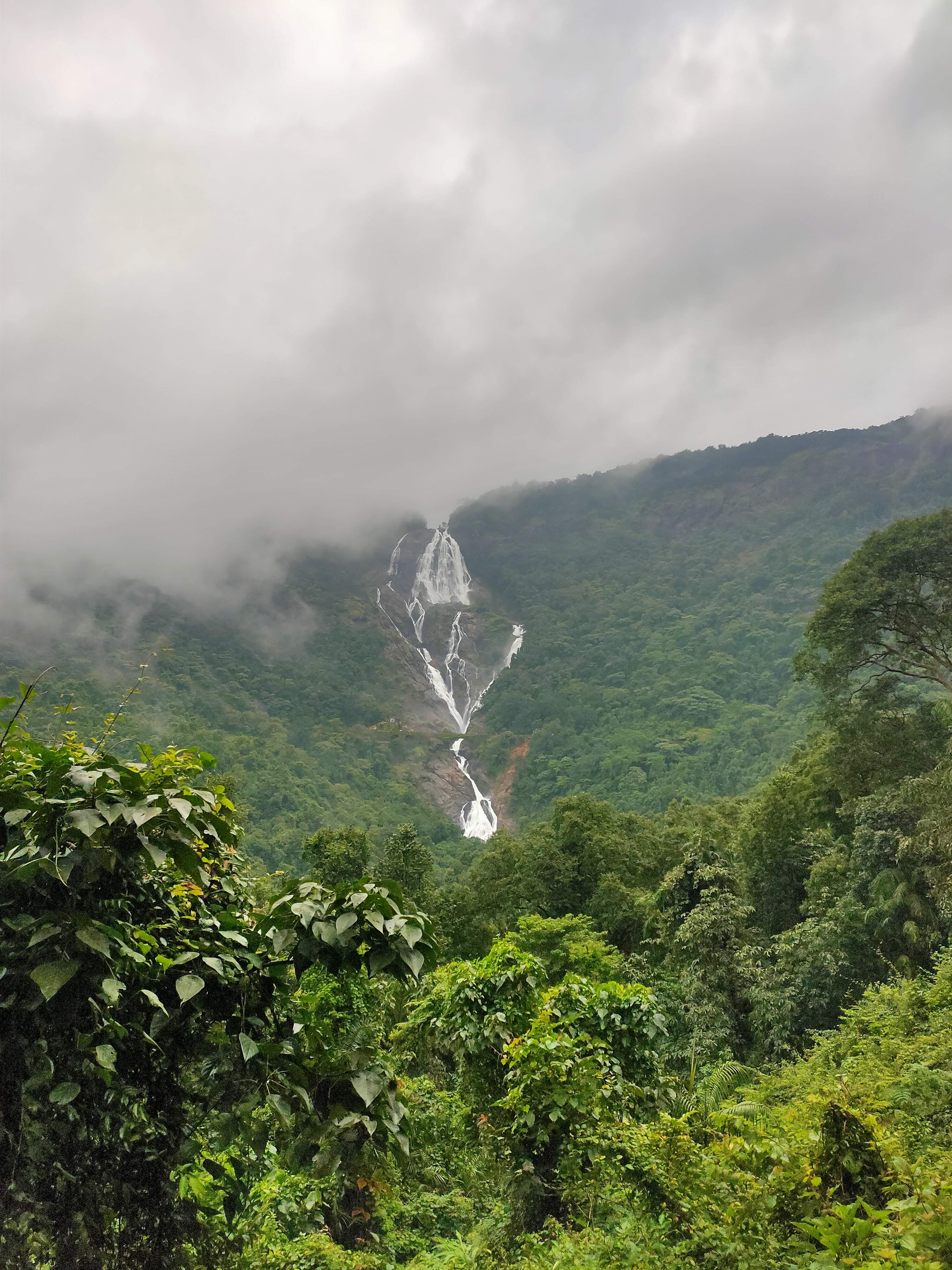 Scenic railway tracks through dense forests leading to Dudhsagar Falls