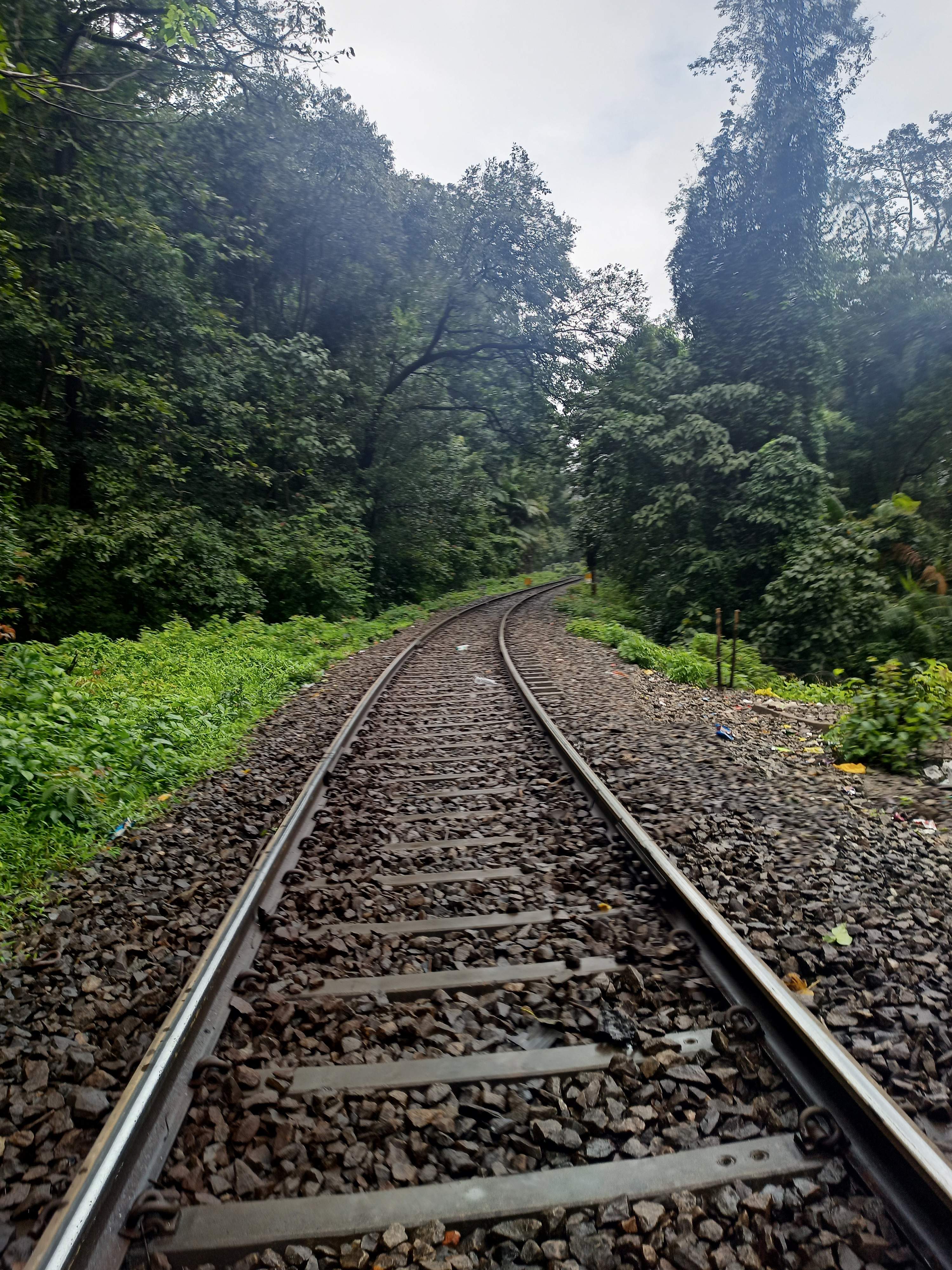 Adventurous descent to the bottom of Dudhsagar Waterfalls with steep trails