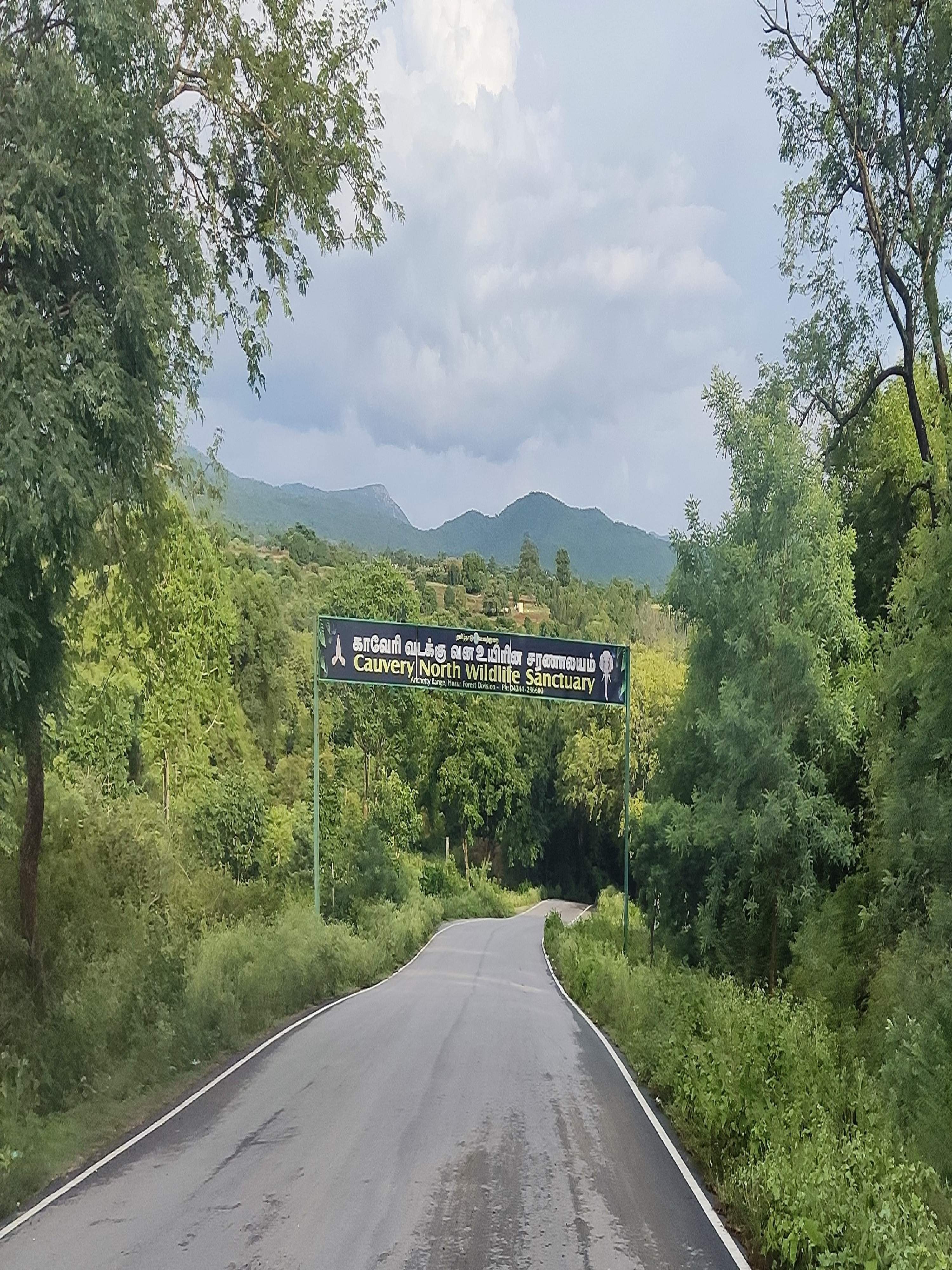 Lush green views of Cauvery North Wildlife Sanctuary during the return journey from Hogenekkal