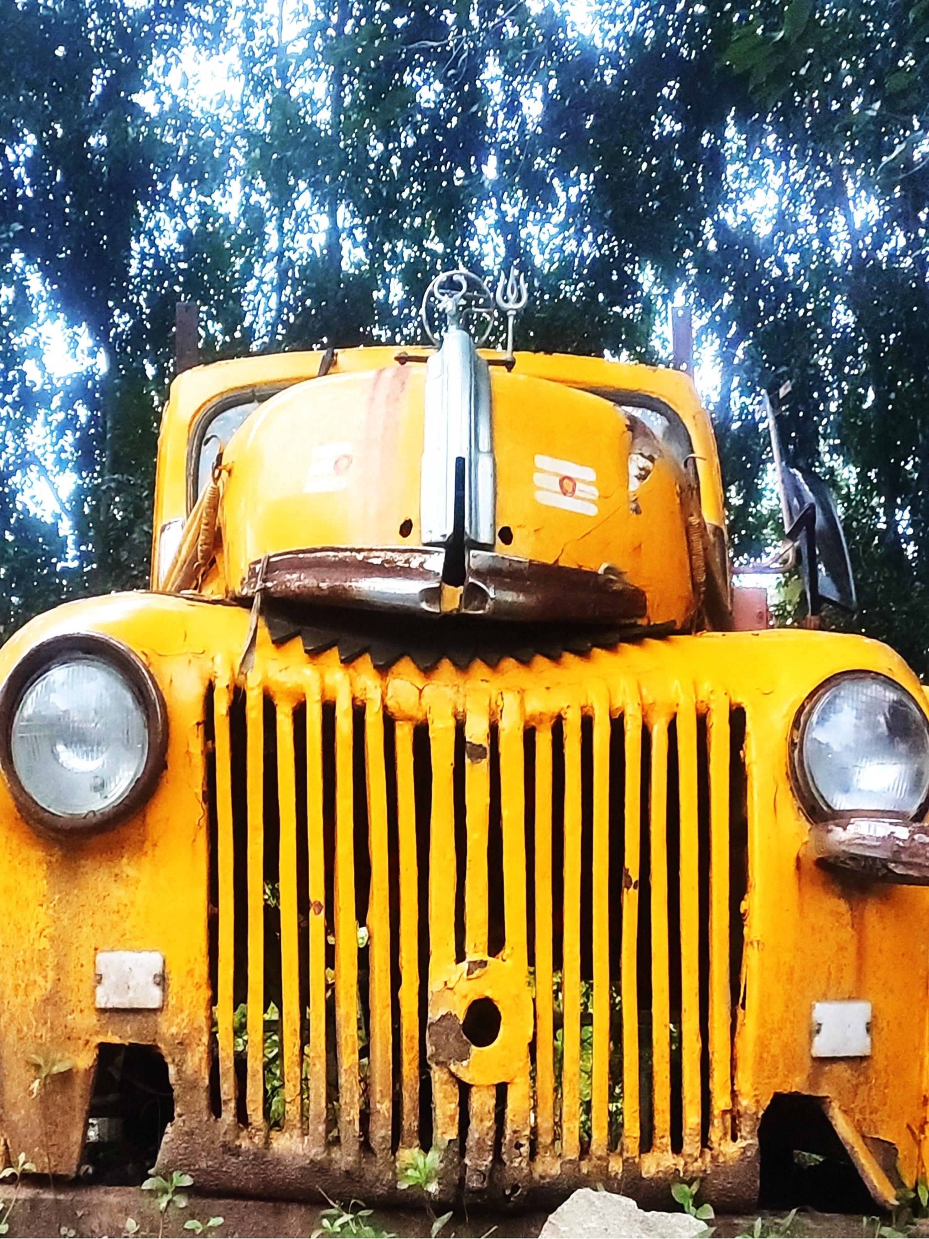Elephants in Dharmasthala, including baby elephant Shivani