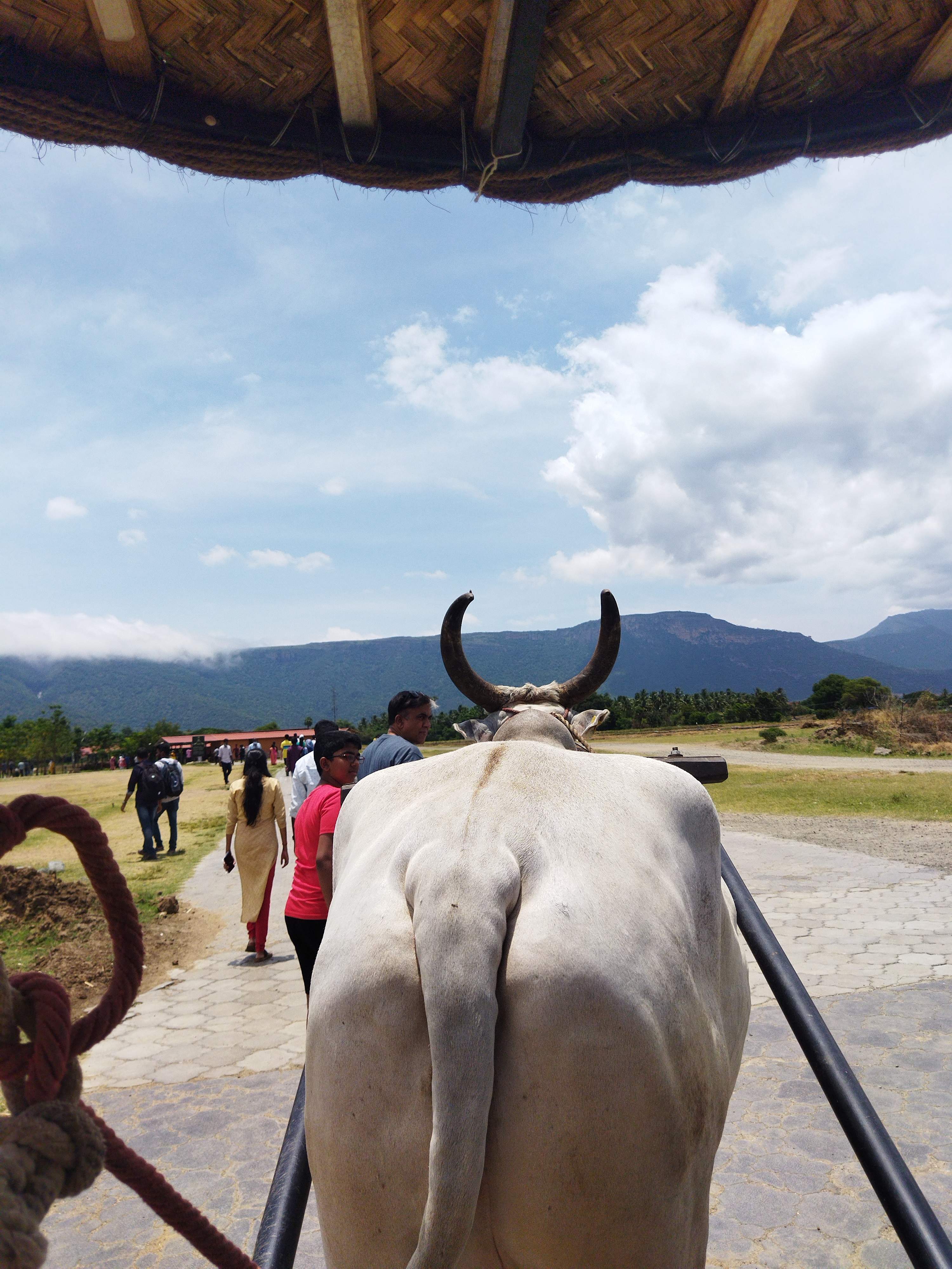 Suryakund spiritual bath pool at Isha Foundation with crystal-clear blue water and Shiva lingas