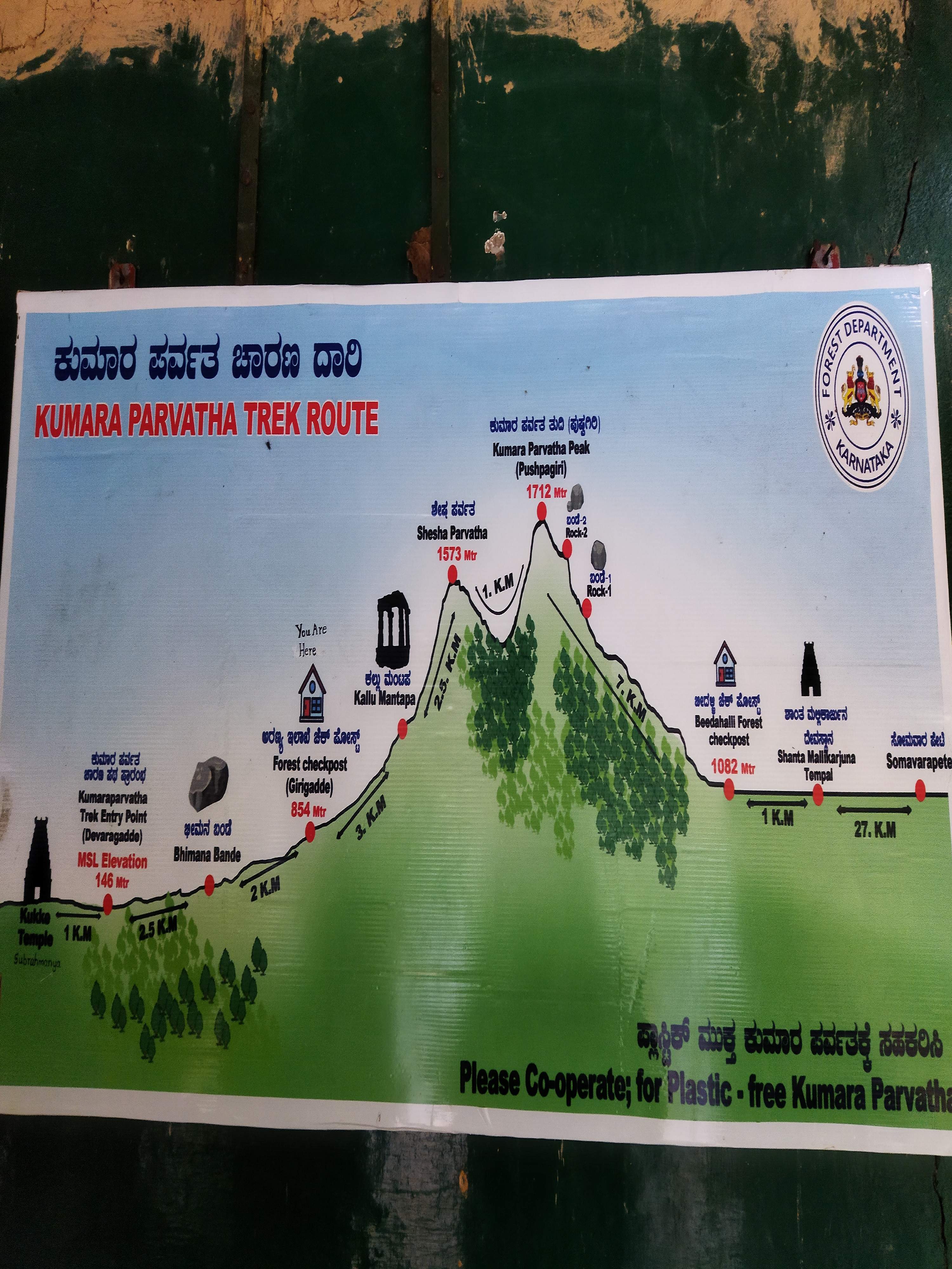 Peaceful river stream in the forest with turbulent water and falling leaves