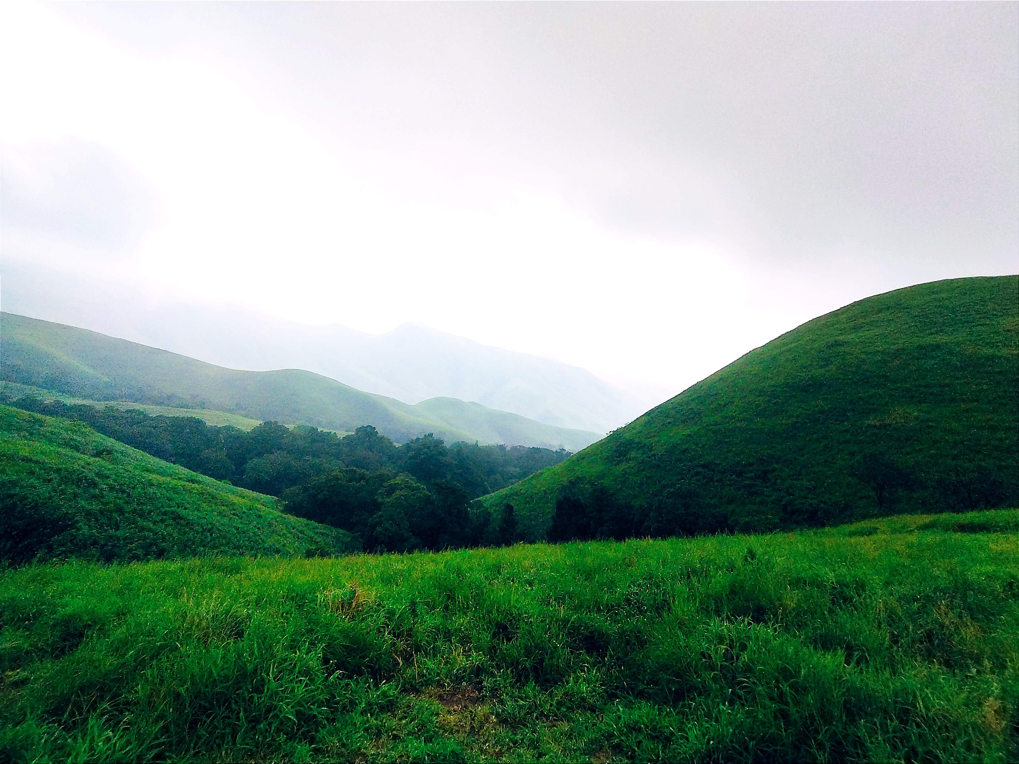 Scenic view of Kudremukha hills and forests