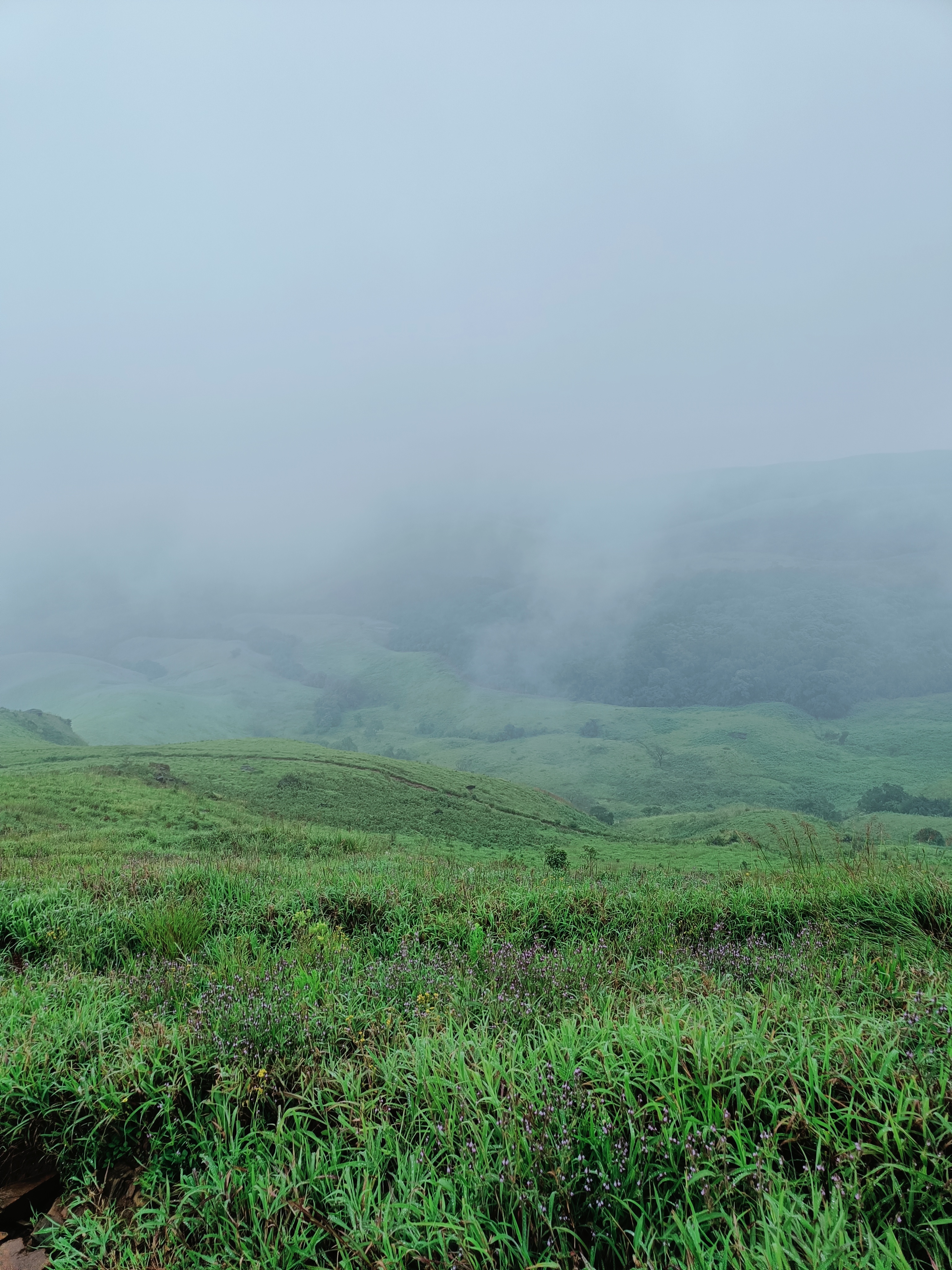 Trek path through foggy green rolling hills to Vanti Mara