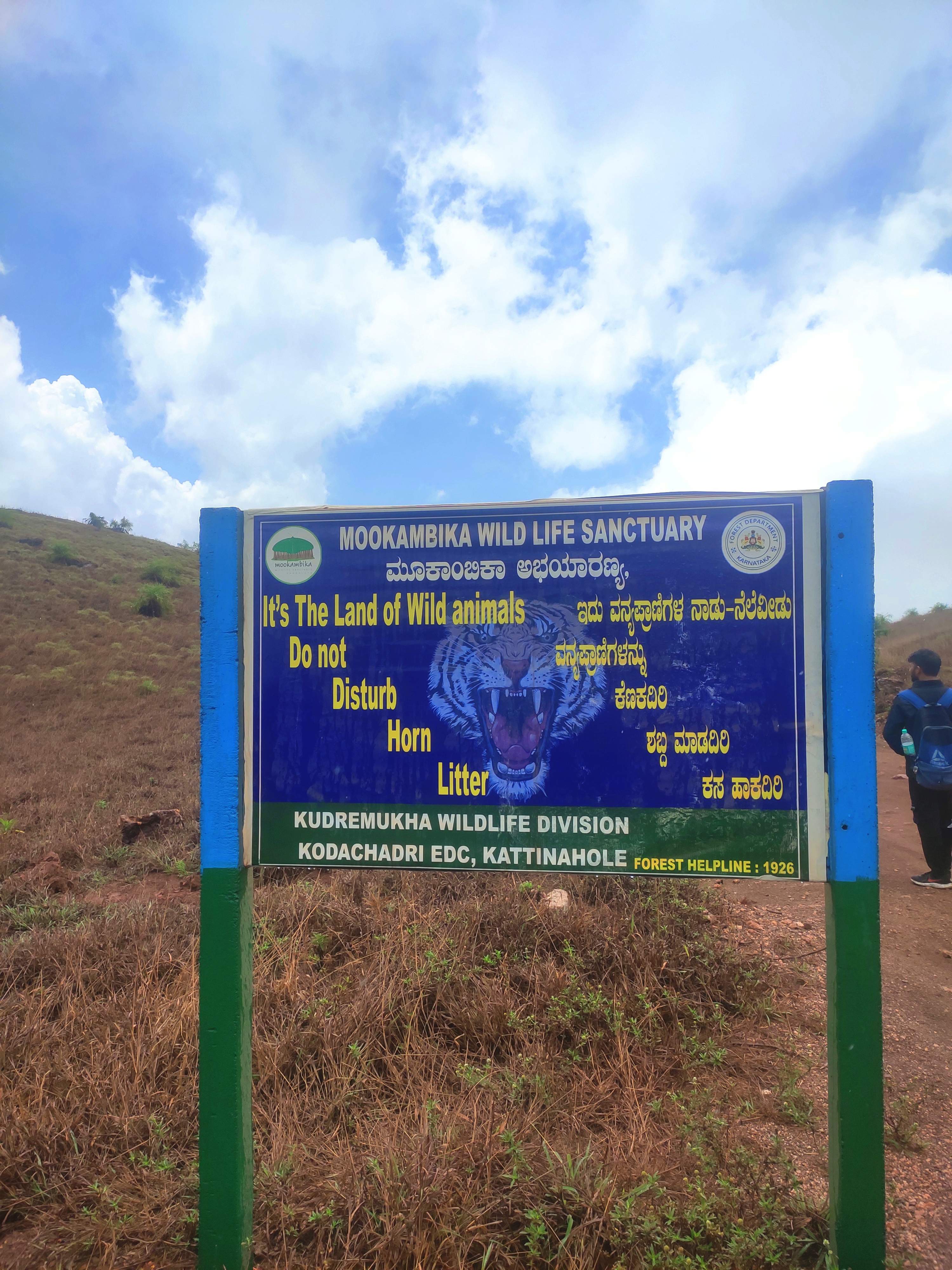 Wild flies hovering during the Kodachadri trek