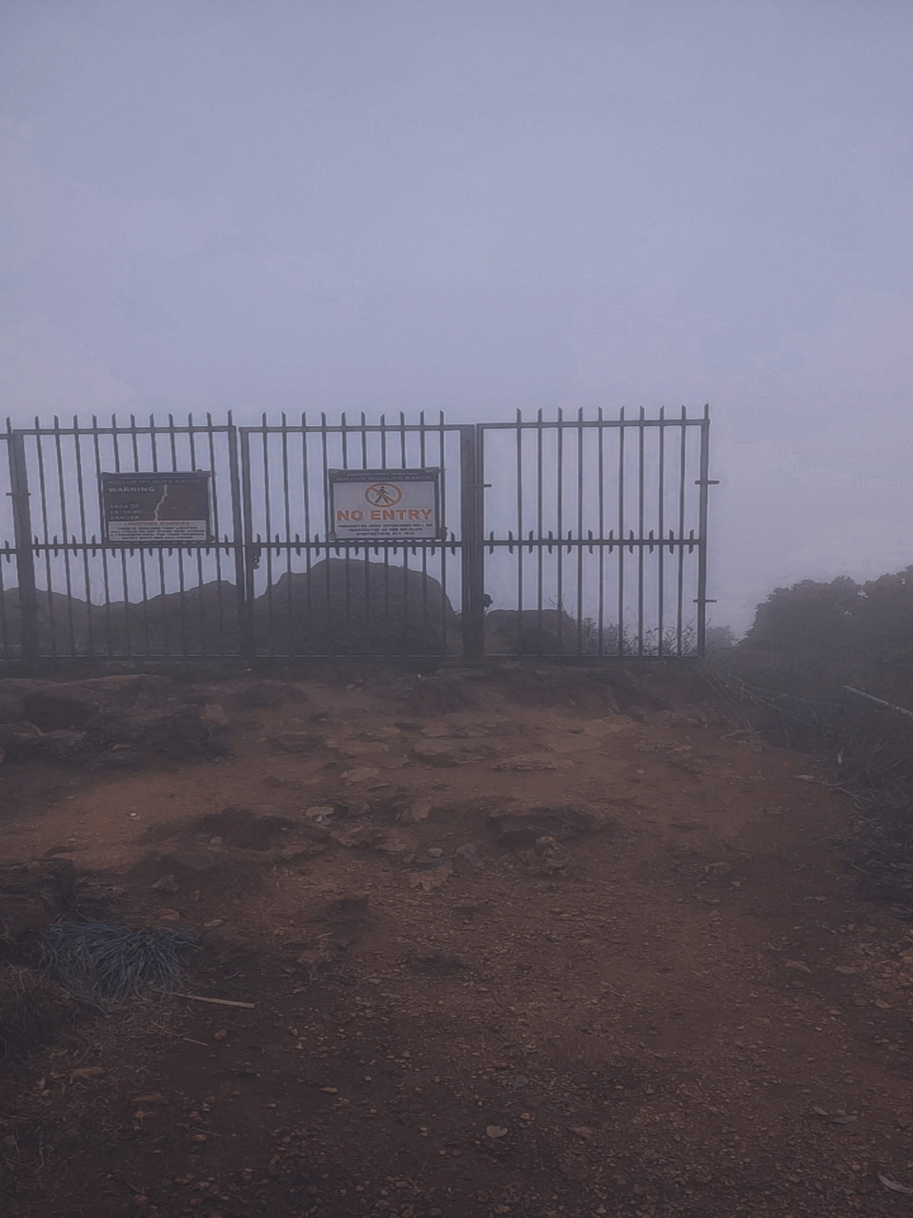 Jeep route descending on Kodachadri trek