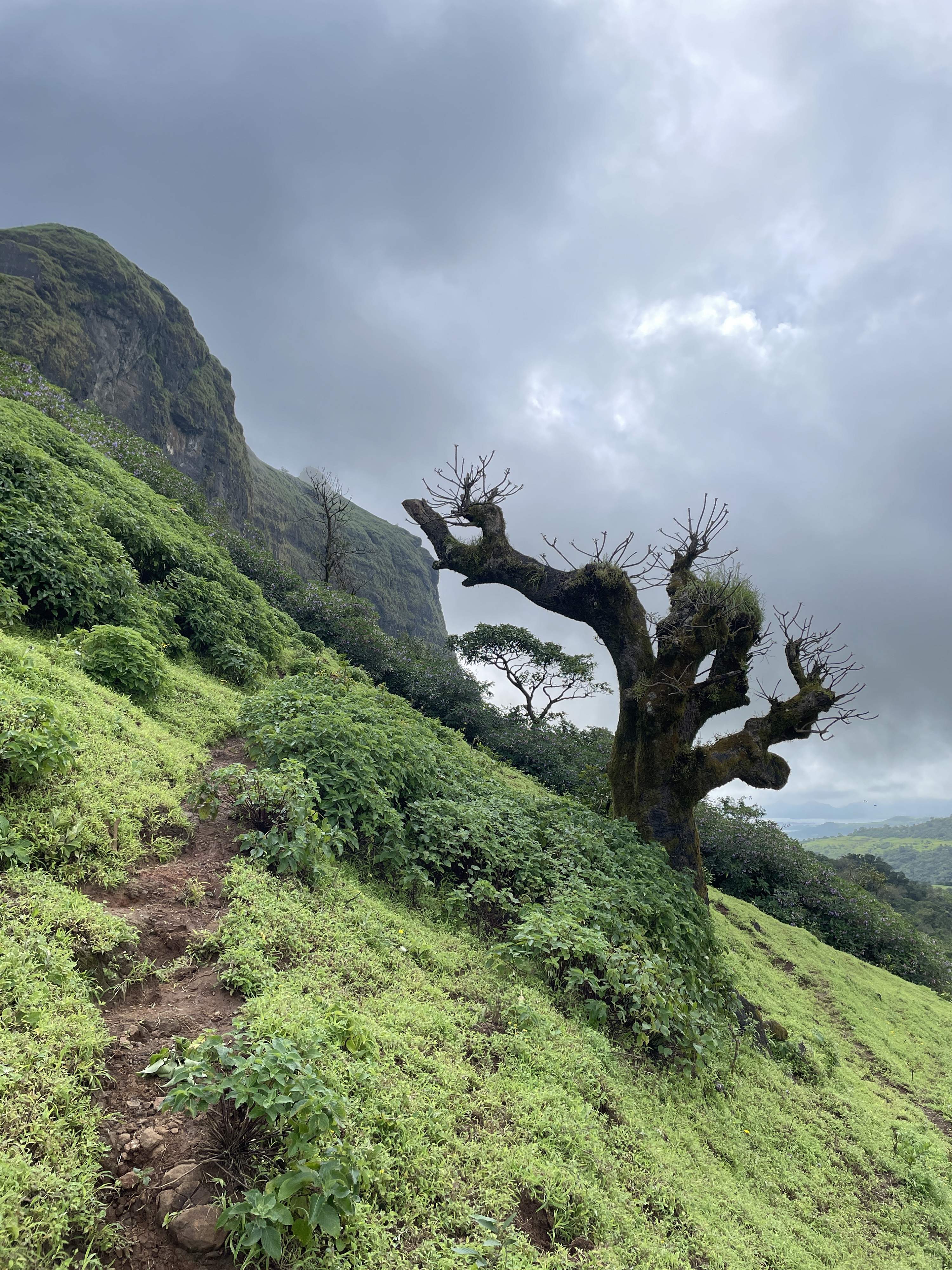 Trekker in camouflaged shirt at the base of Harihara Fort