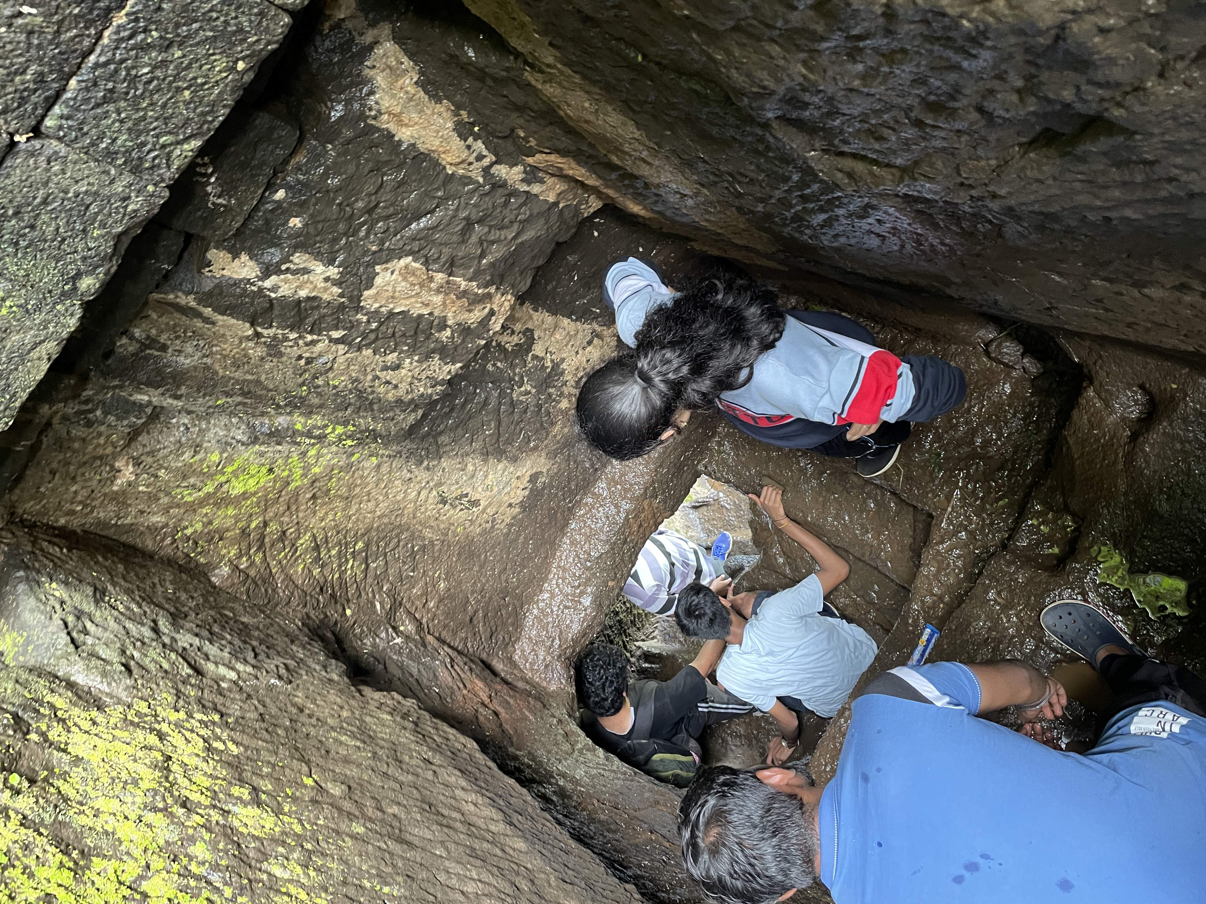 Monkeys near the steep incline