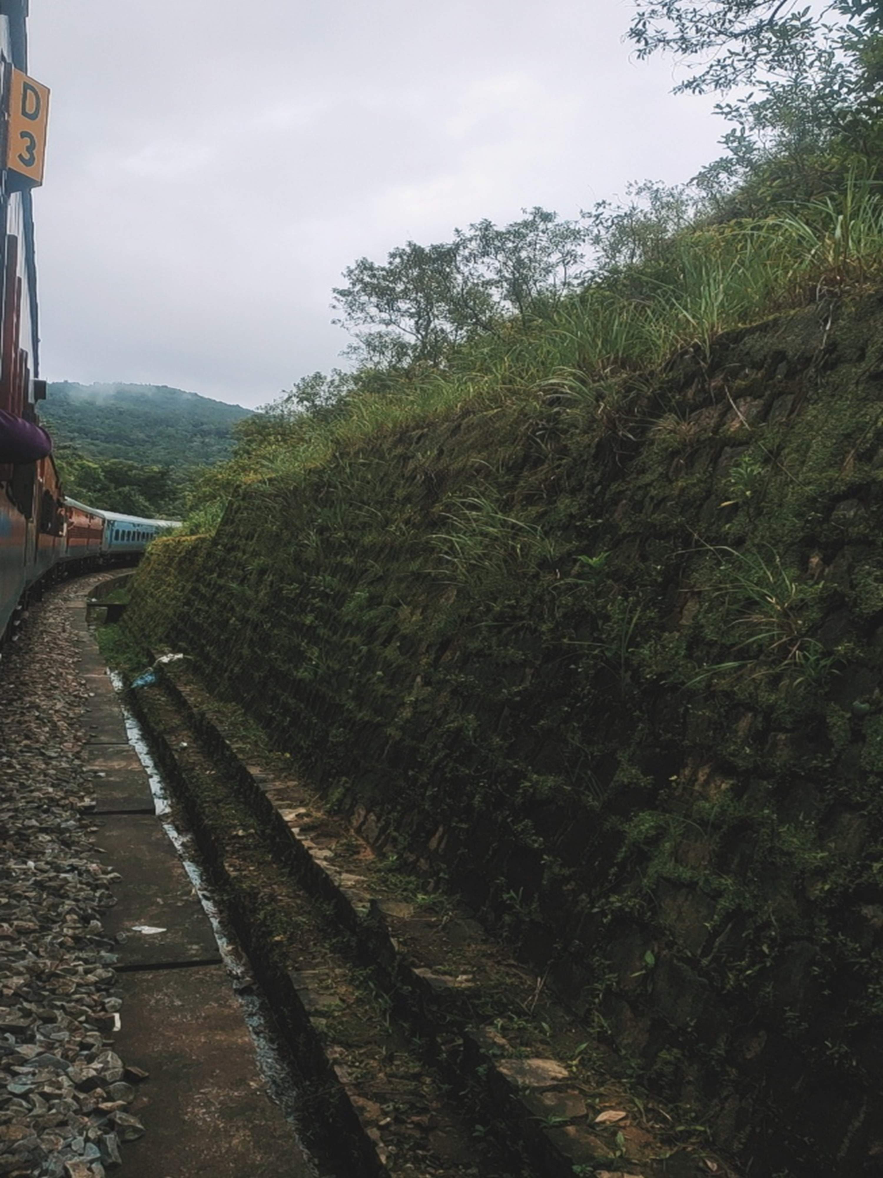 Forest home in Puttur surrounded by areca nut and rice fields