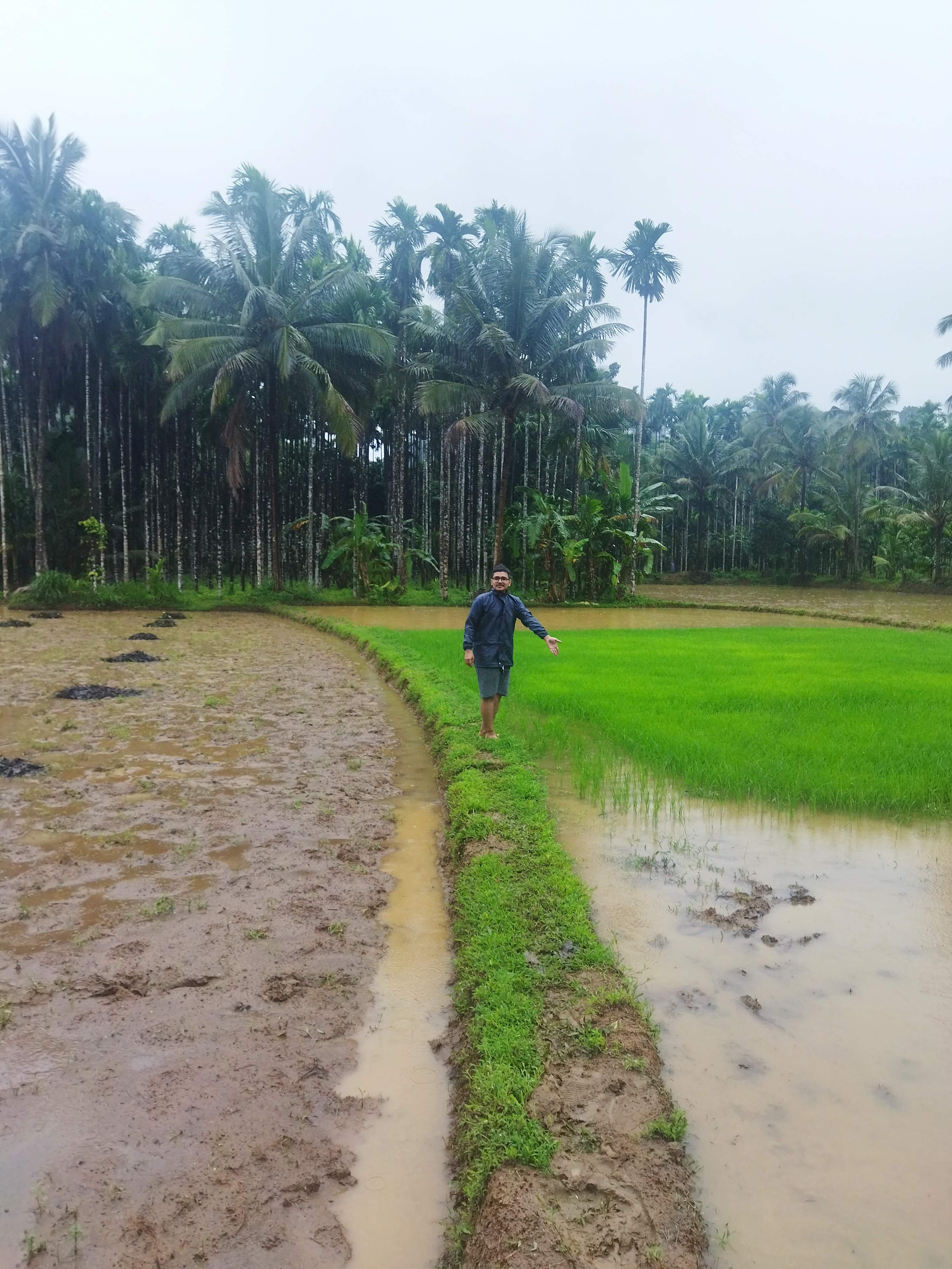 Traditional visit to Dharmasthala temples