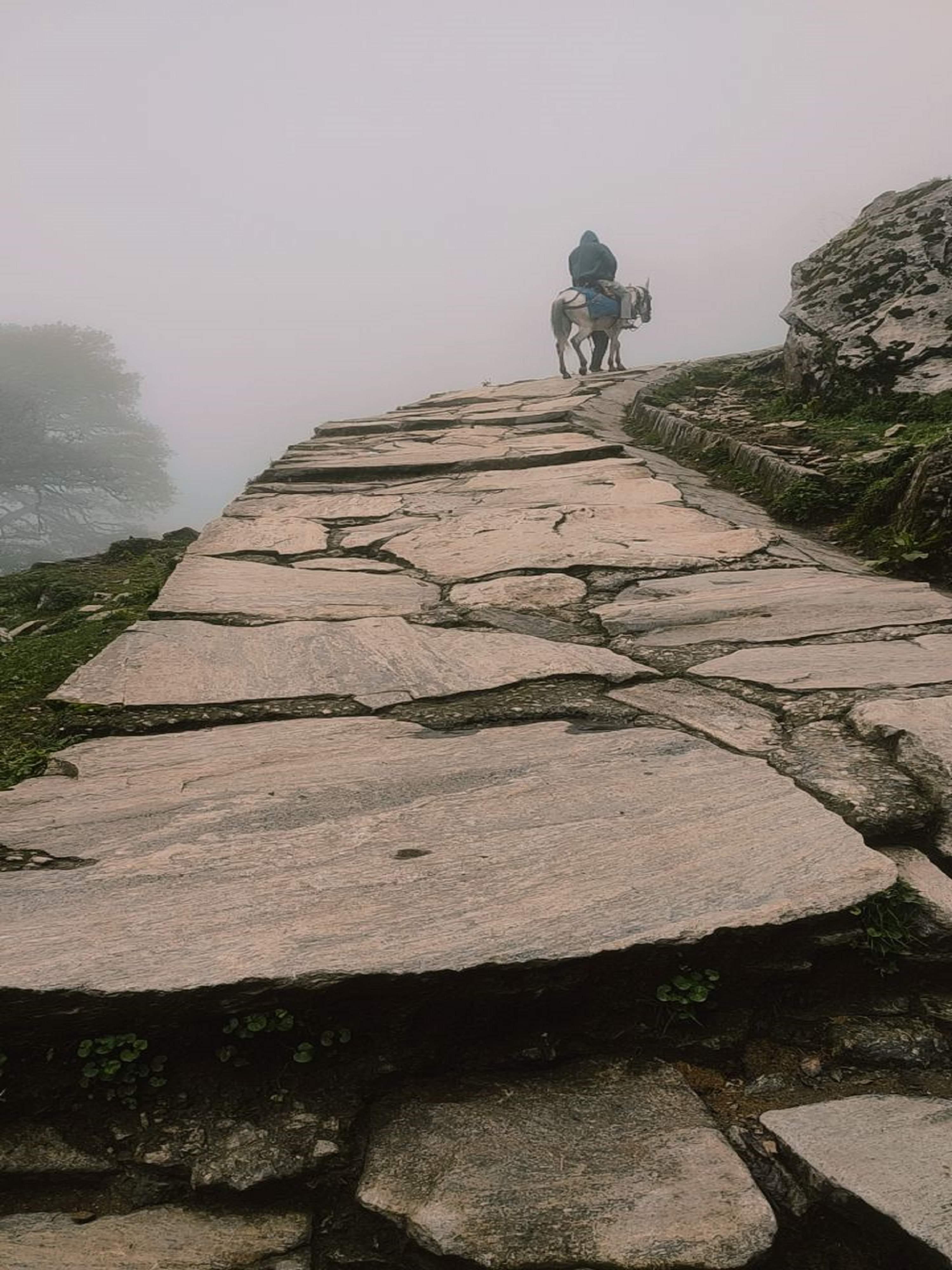 Starting the trek from Chopta, Uttarakhand