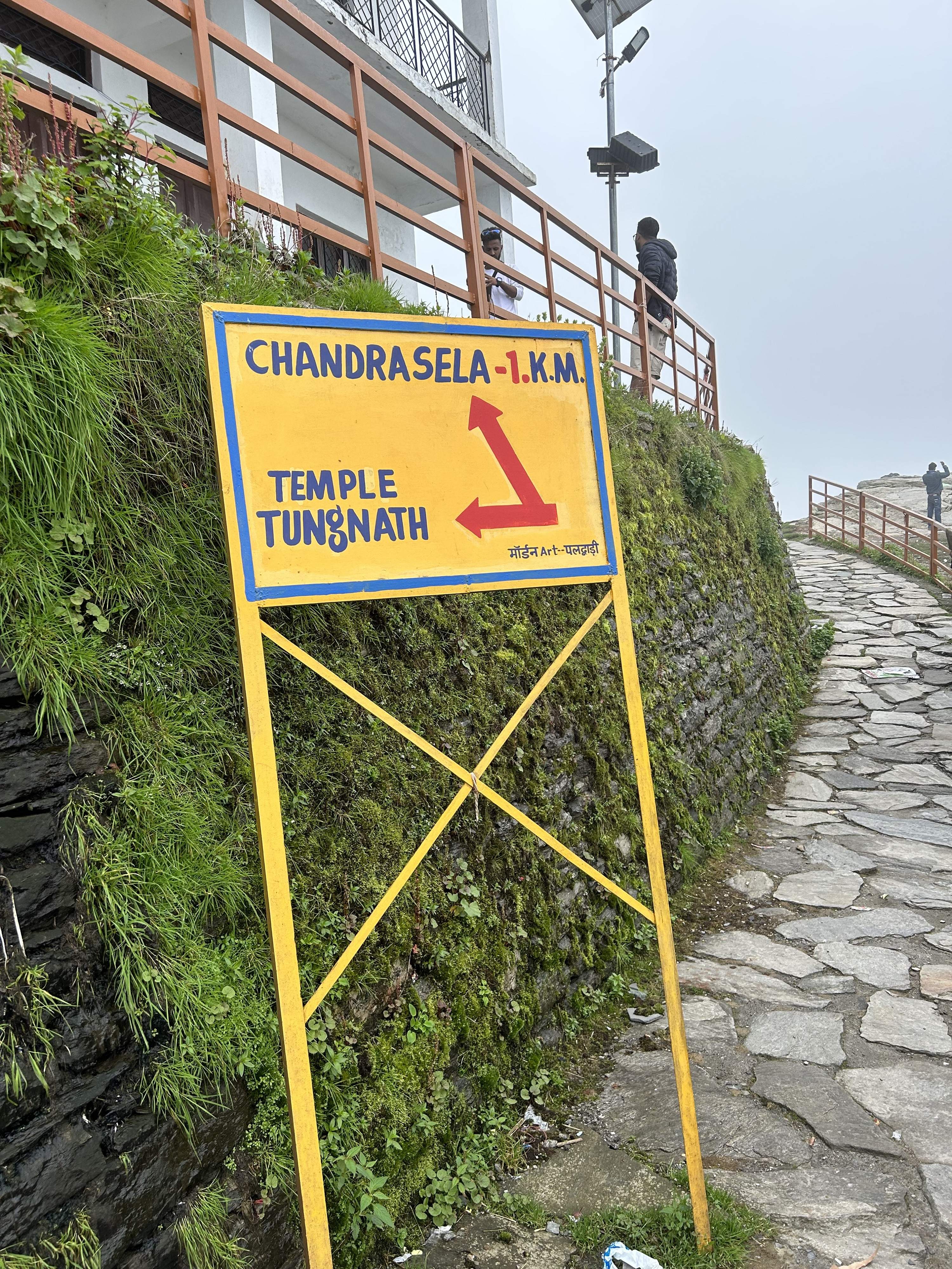 Friendly mountain dogs with thick furry coats