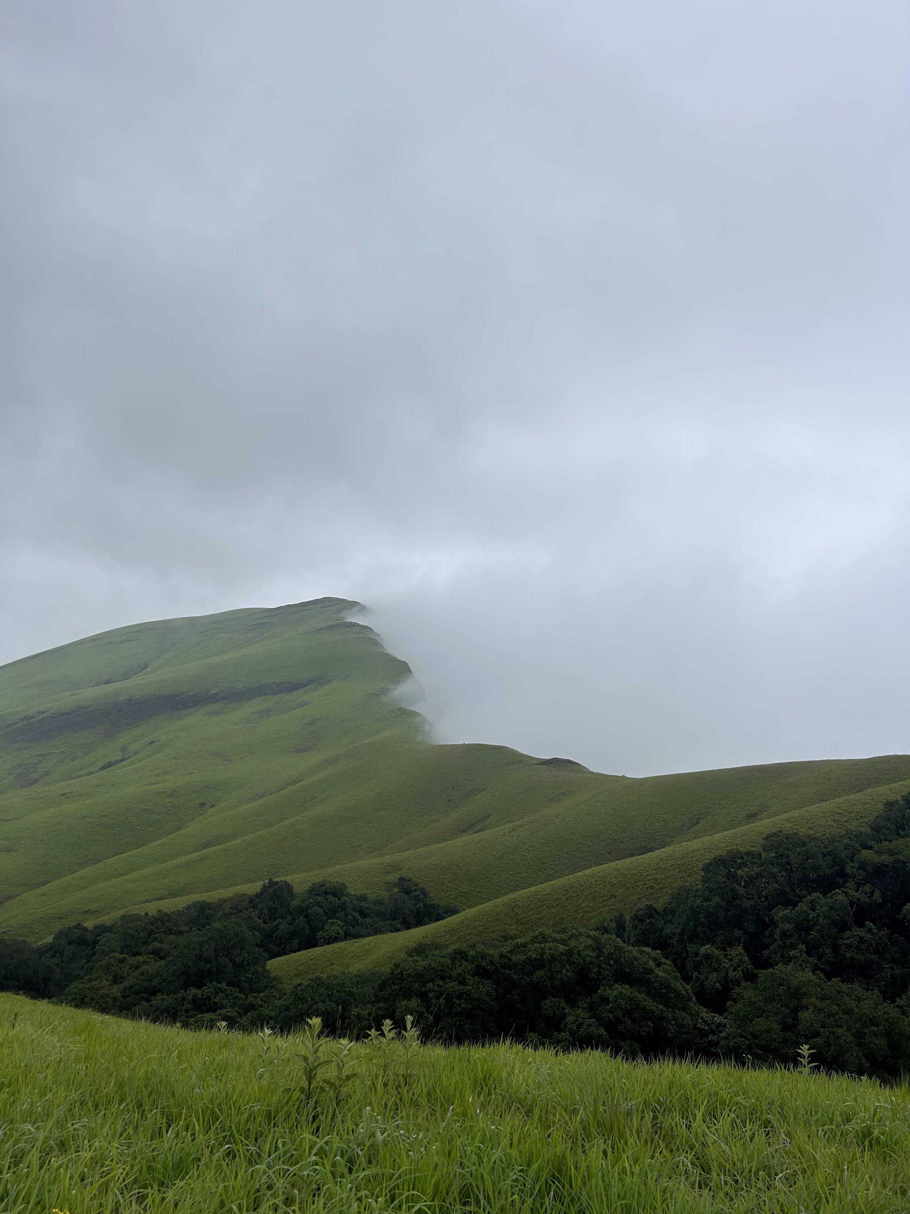 Scenic cover view of Netravathi Peak Trek