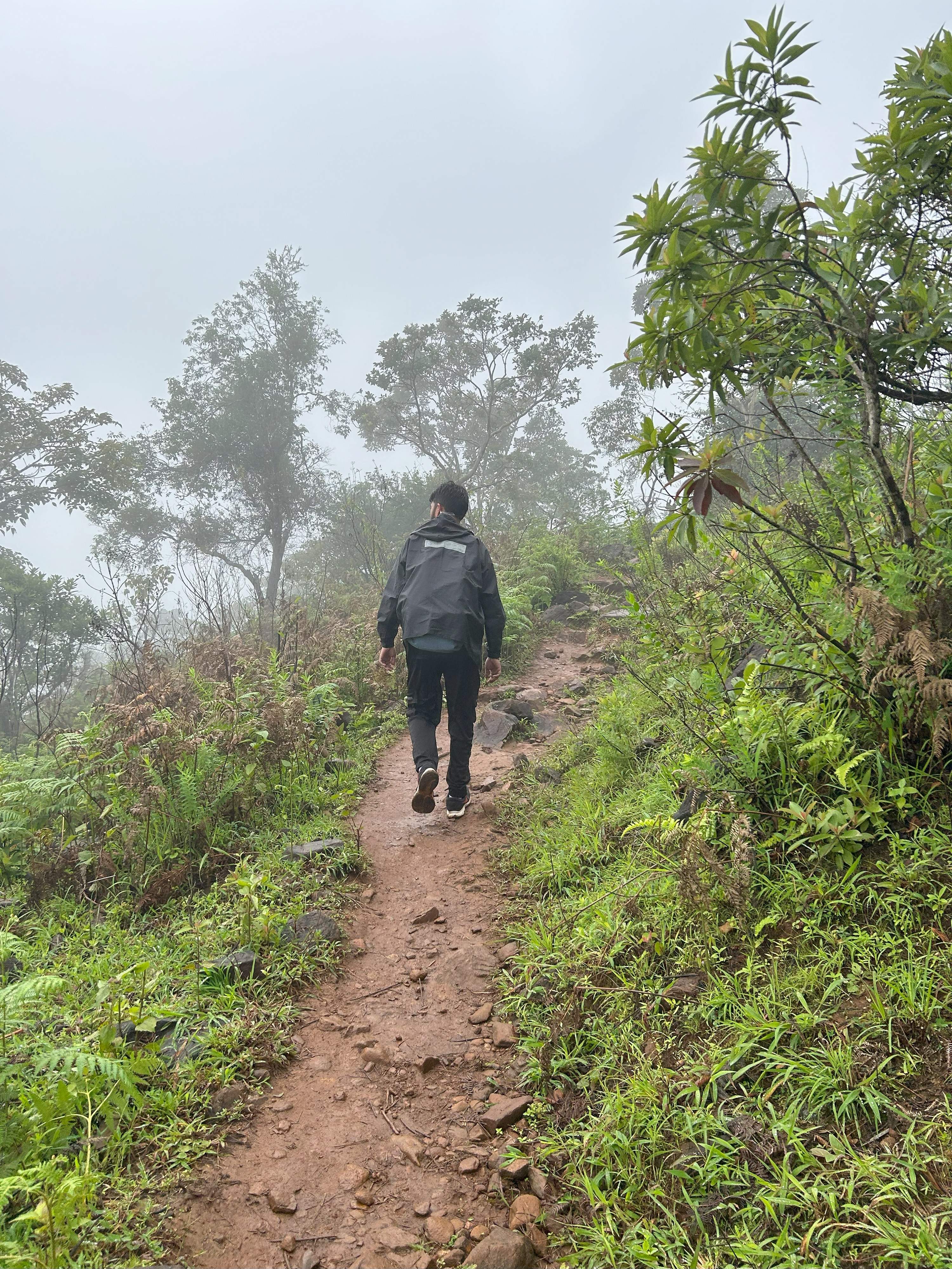 Trekking through grasslands and streams