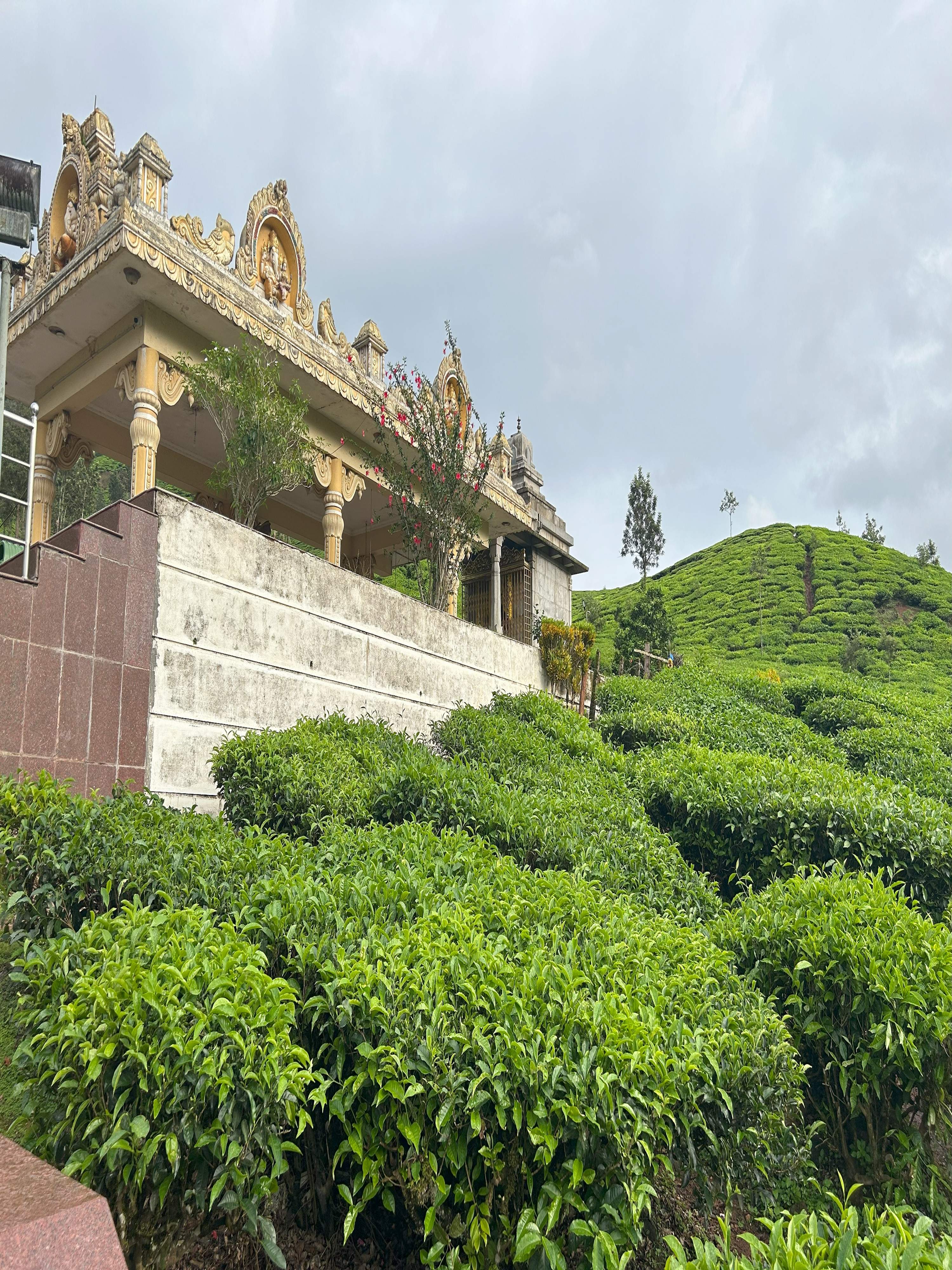 Hornadu temple and tea estate