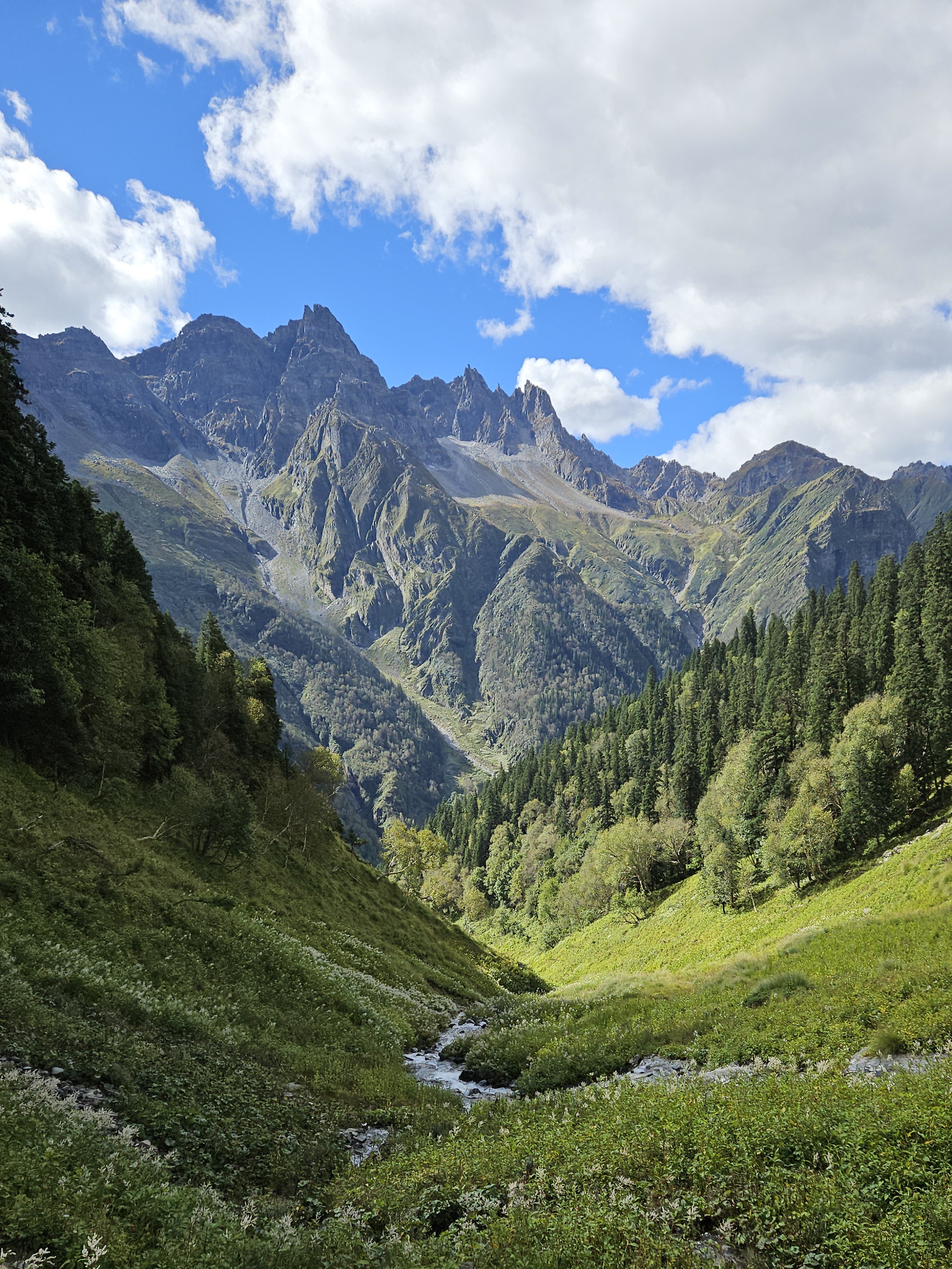 Welcoming Himalayan Mastiffs at Janglik base camp