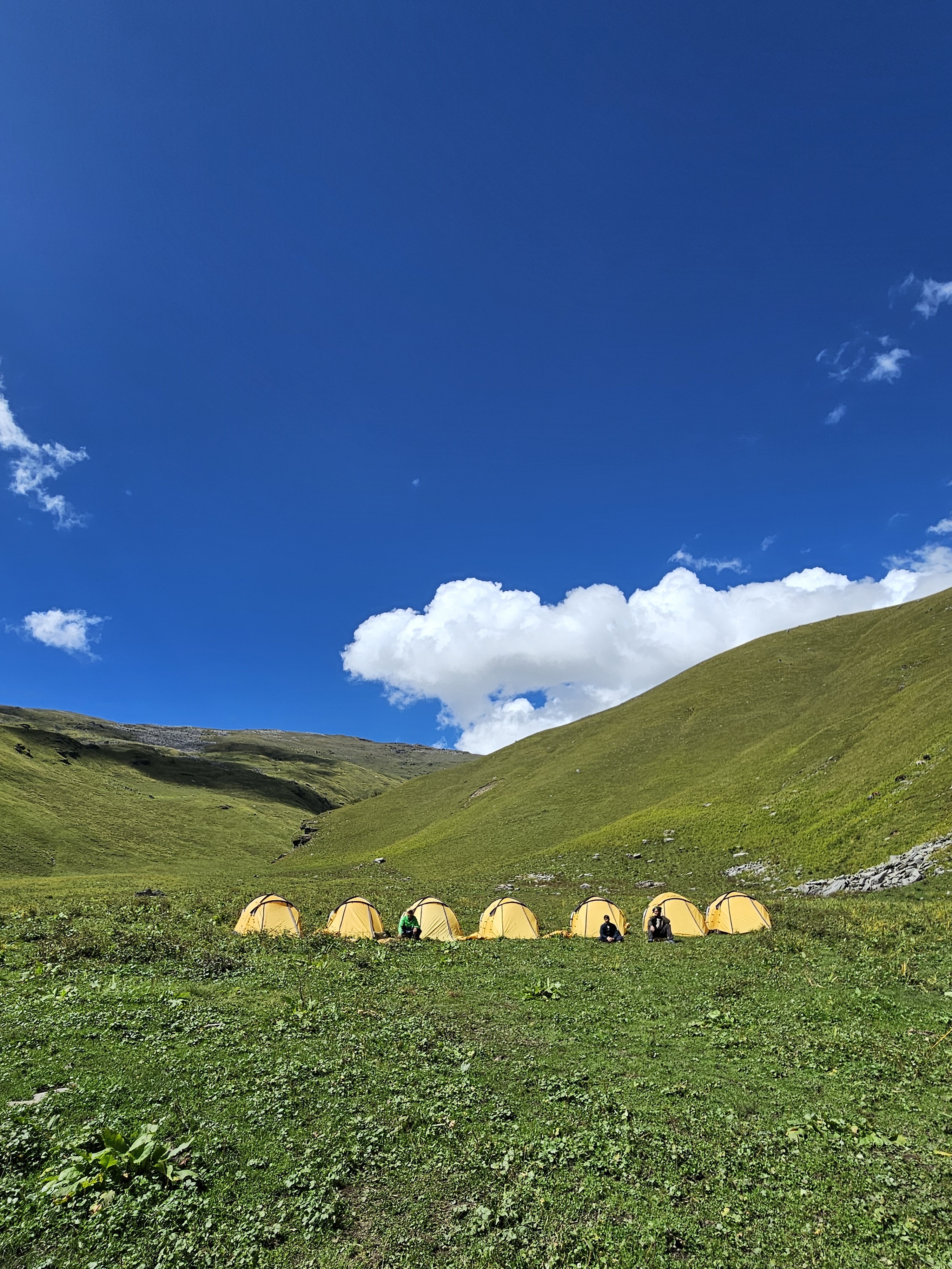 Starting the trek with pine trees and mountain peaks