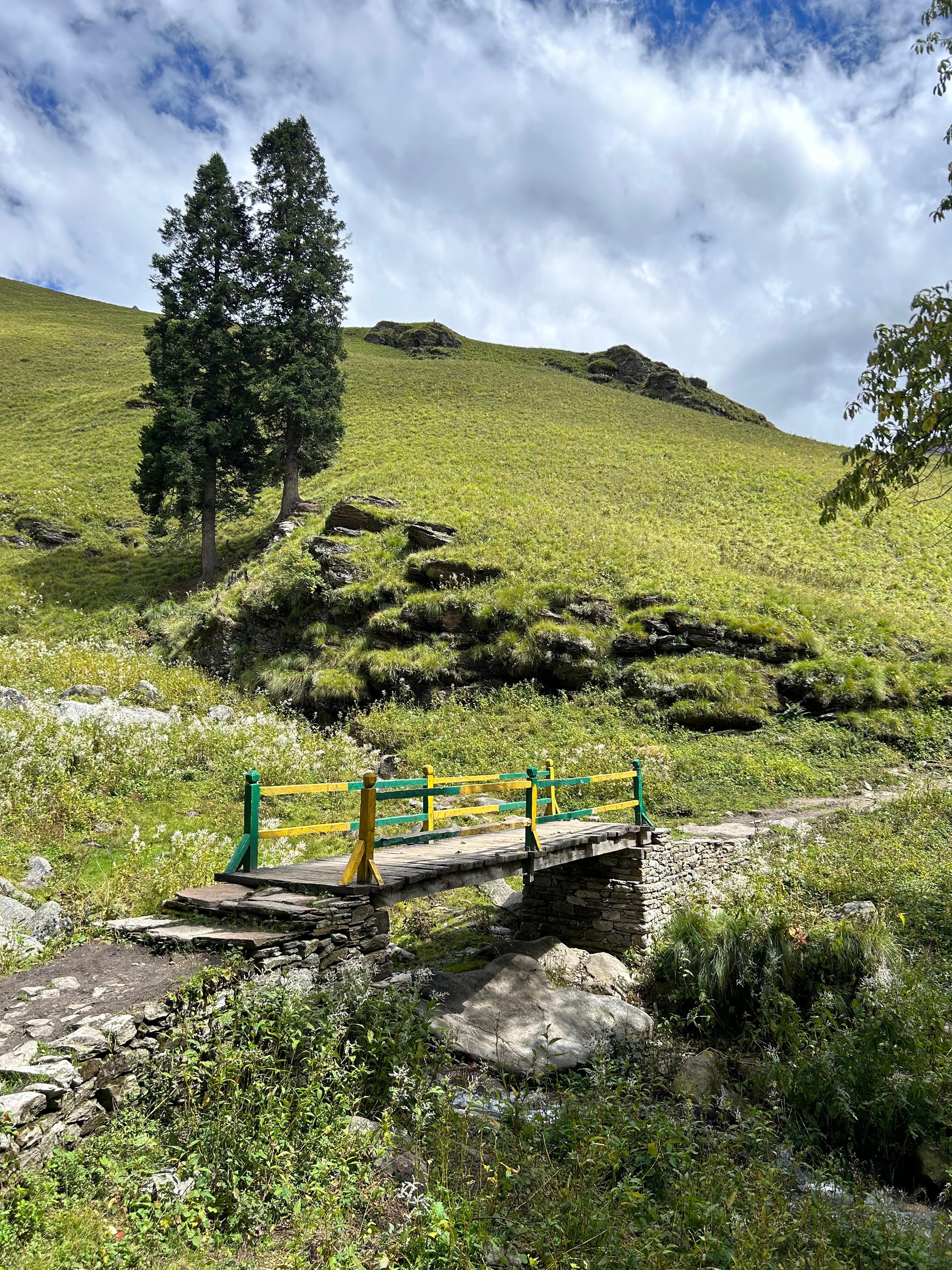 Snow-capped mountains and cold-water streams