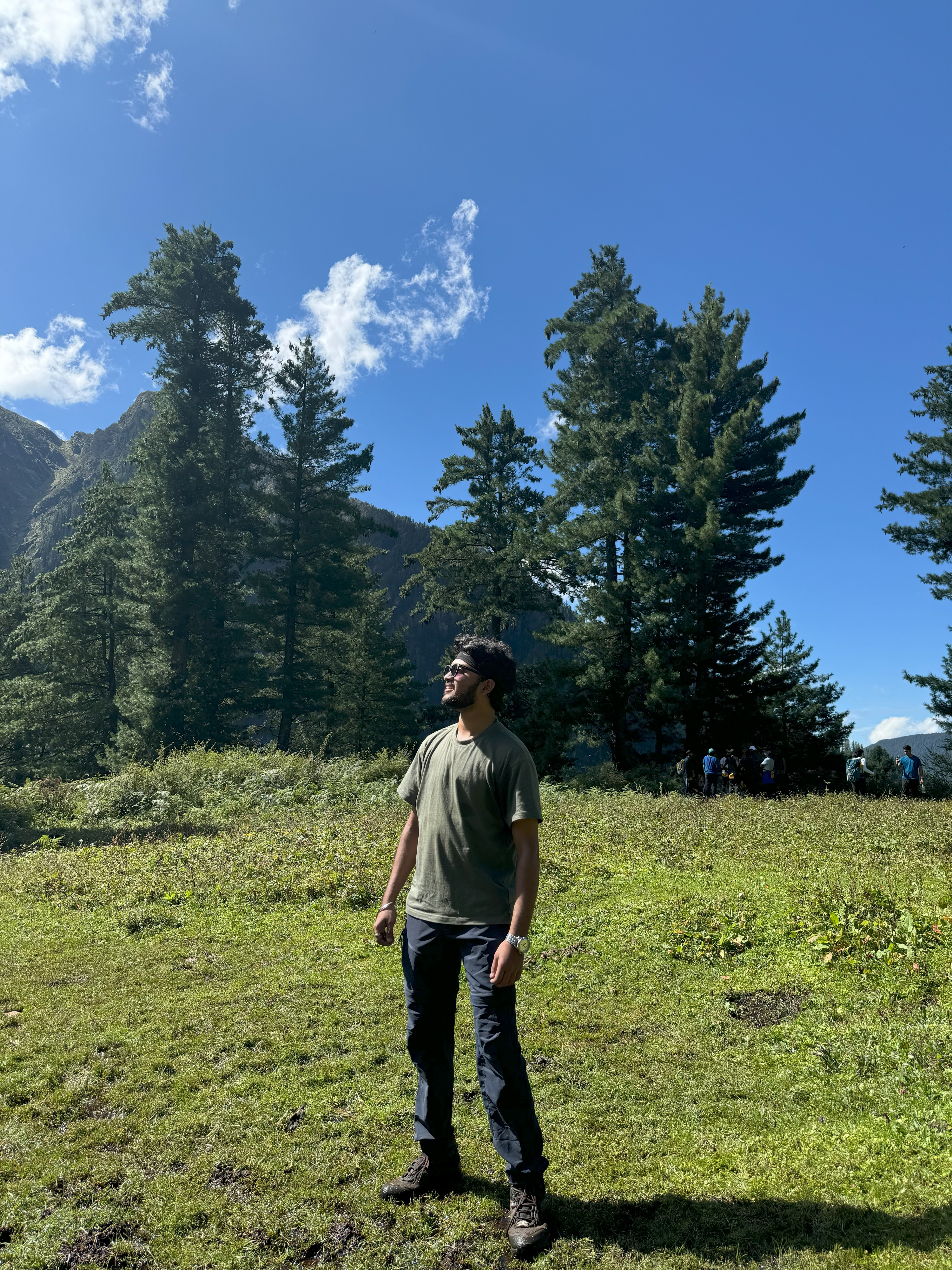 Wildflowers and trails in the valley