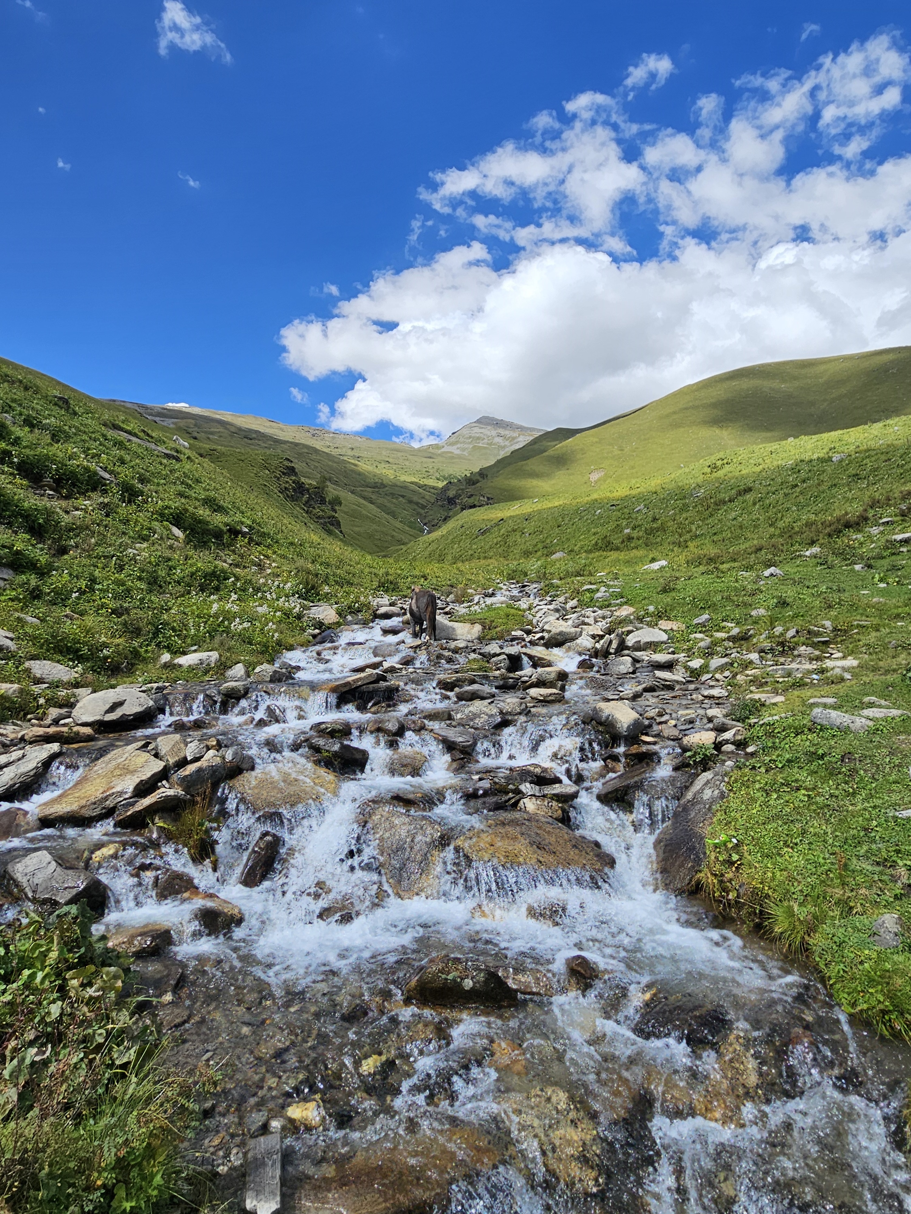 Litham campsite with sparkling river from glacier
