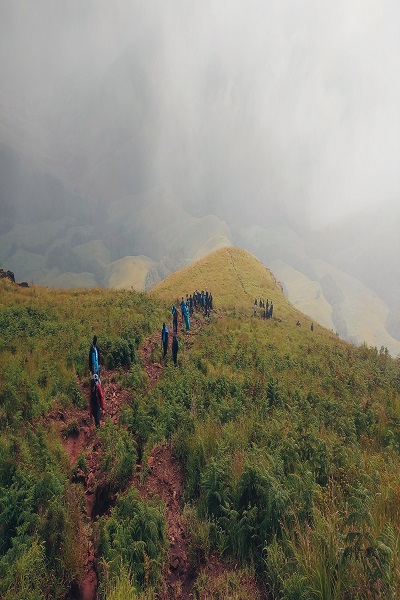 Kudremukha trek showcasing majestic rolling hills and dense forests in Karnataka